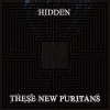 Hidden (2010)