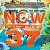 Now That's What I Call Music! 37 (2011)