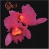 Orchid (1995)