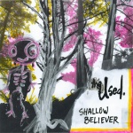 Shallow Believer (19.02.2008)