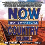 Now That's What I Call Country Vol. 2 (08/25/2009)