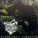 Midnattens Widunder (1999)