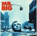 Bump Ahead (1993)