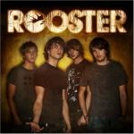 Rooster (2005)